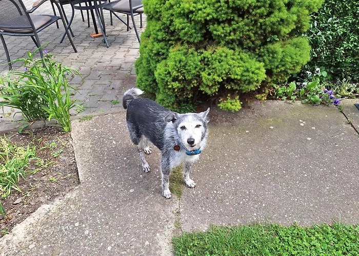 Gaststätte Und Zur Schiene *